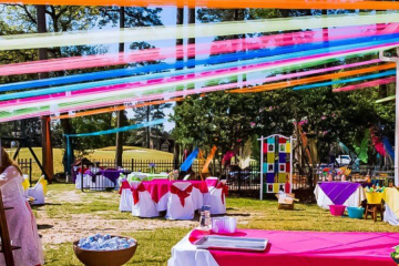 The Ultimate Guide To Holi Party Decorations For Offices In Delhi NCR