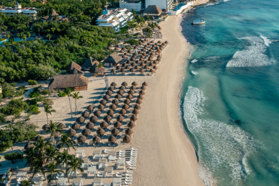 Untitled design (87)