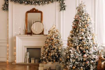 Christmas Decorator in Delhi | Christmas Decoration