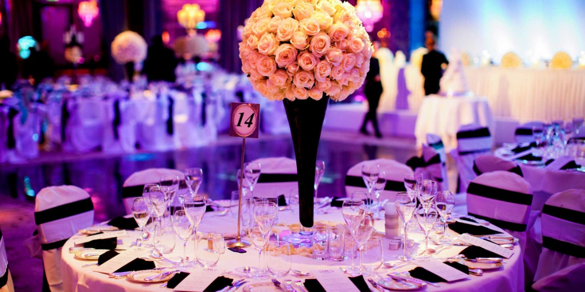 Premium Furniture for MICE plays a vital role in creating both functional and elegant event environments. Whether it's for conferences, exhibitions, or corporate galas, high-quality seating, registration counters, lounges, and display units are essential. Leading MICE Companies in Udaipur offer customized furniture solutions that align perfectly with event themes and brand guidelines, ensuring your event space is both stylish and purposeful.